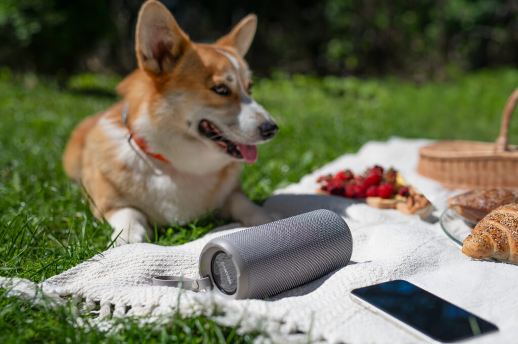 Péče o reproduktory